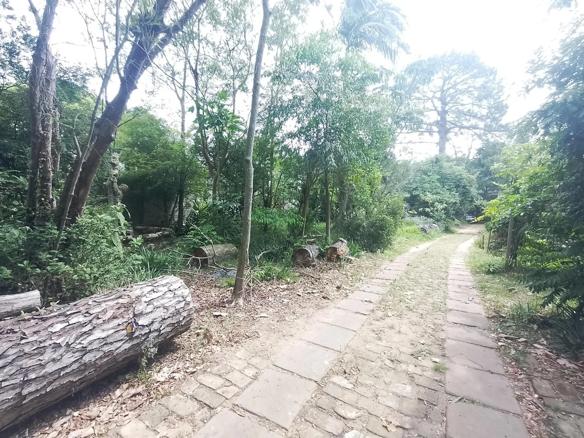 Imagem Terreno com área de 3.600m2 com 43m de margem no Rio Guaíba