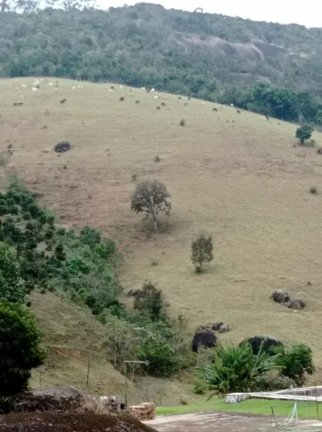 Imagem Fazenda em Joanópolis - R$ 2.000.000,00 - 40 Alqueires e 3 Fontes de Água!