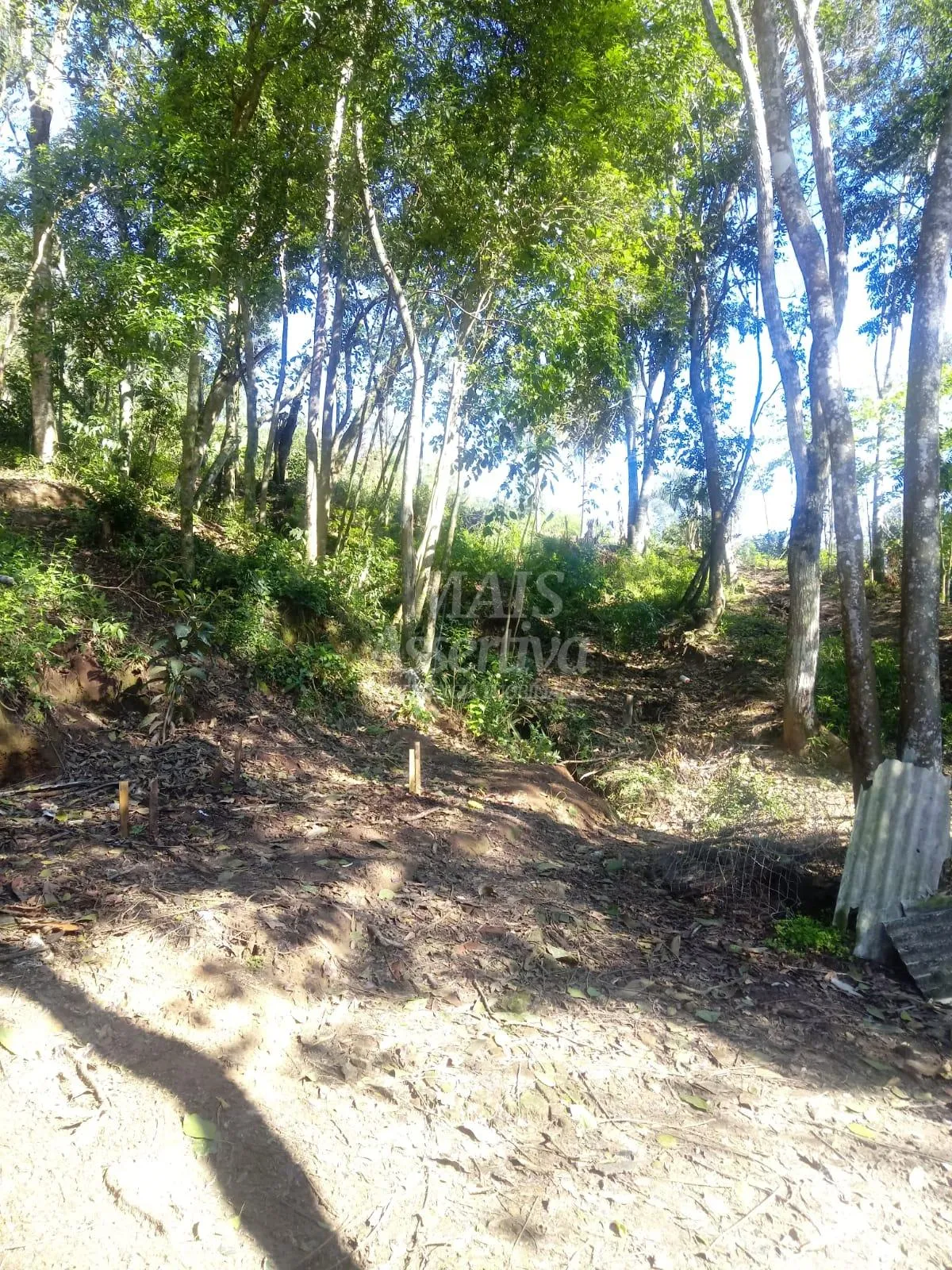 Imagem Sítio para venda em Nova Hartz Bairro Progresso