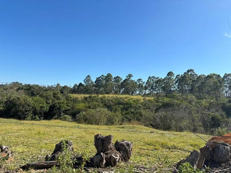Imagem FAZENDA À VENDA - DESTERRO DE ENTRE RIOS (MG) 51 hectares de área total