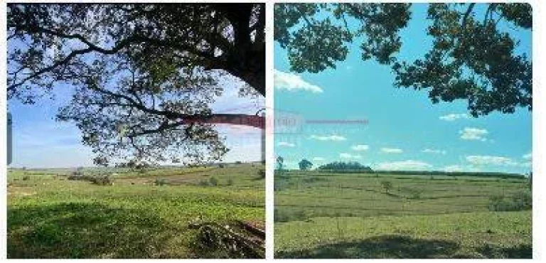 Imagem Sítio com 43,600 metros de terreno COM EXELENTE TOPOGRAFIA em cerquilho