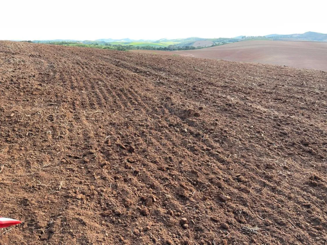 Imagem FAZENDA À VENDA - ENTRE RIOS DE MINAS 500 hectares de terra