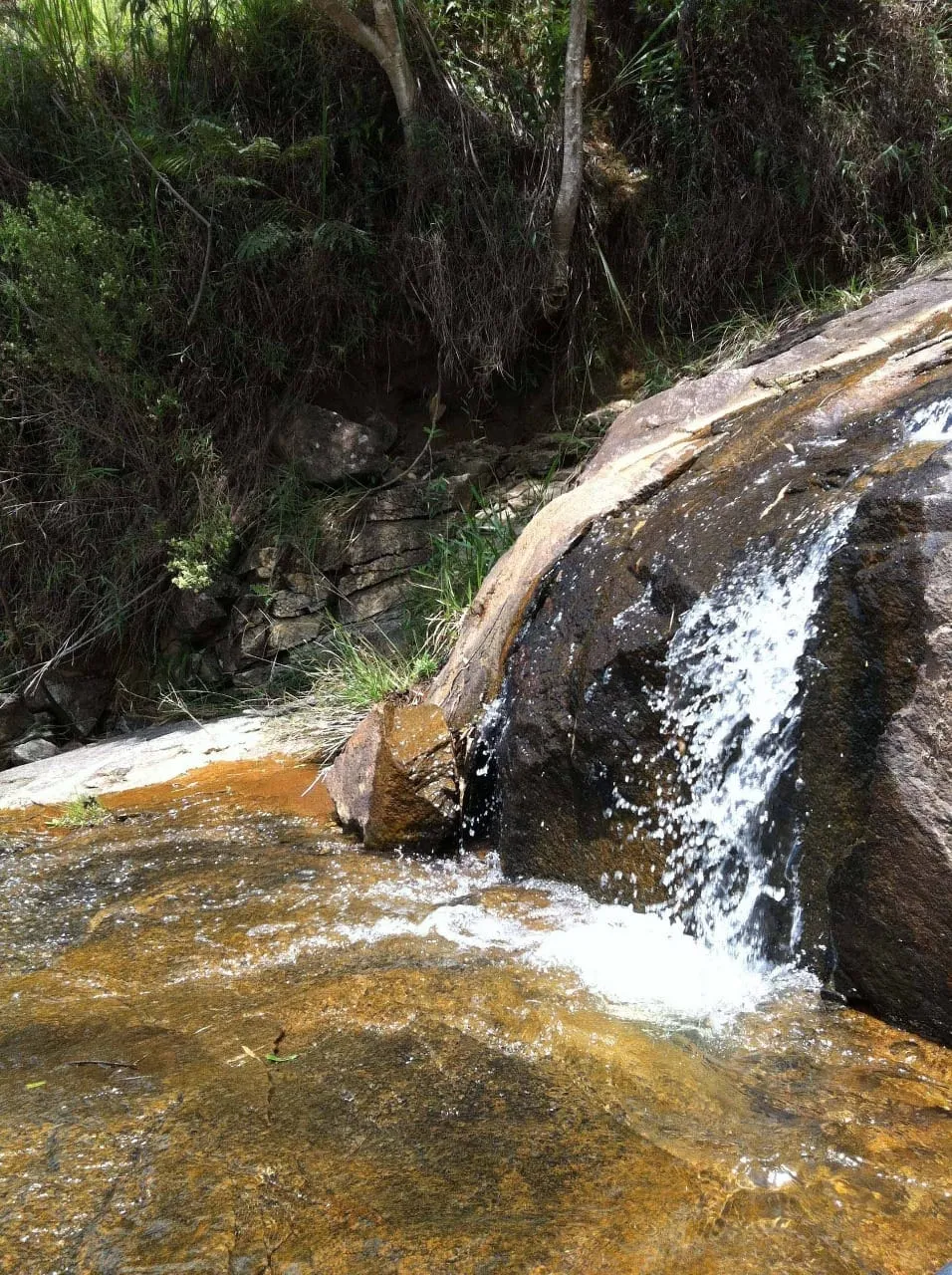 Imagem FAZENDA COMPLETA E ESTRUTURADA PARA PECUÁRIA - 105,5 ALQUEIRES