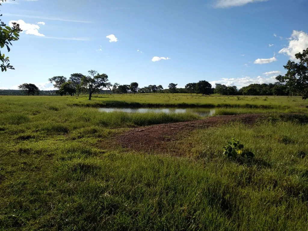 Imagem Fazenda de Rio Negro Mato Grosso do Sul-MS, Farms for sale in Brazil, farms in Brazil, Brazil farms
