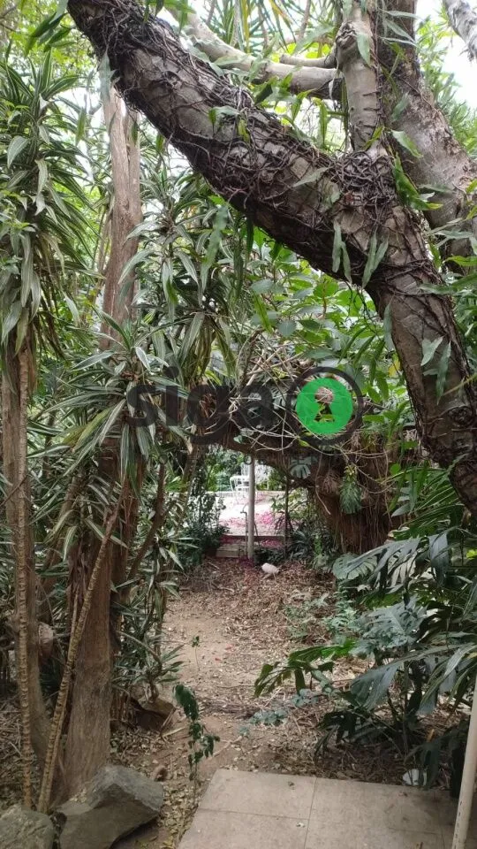 Imagem Terreno / Casa Térrea à venda no Brooklin - Excelente oportunidade