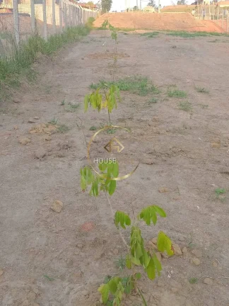 Imagem LOTES Á VENDA NO CONDOMÍNIO RECANTO DA FIGUEIRA EM JACAREÍ-SP