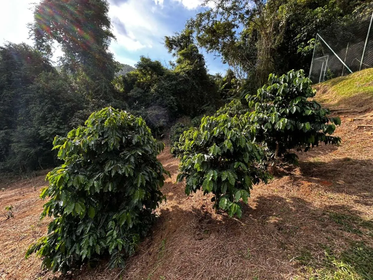 Imagem Casa em Condomínio para Venda em Petrópolis / RJ no bairro Nogueira