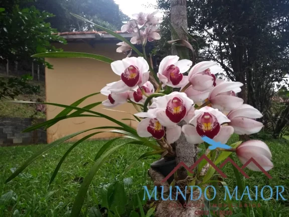 Imagem Chácara em Suzano 3.200m Piscina Aceita Financiamento!