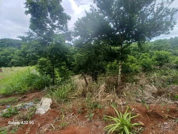 Imagem Terreno para Venda em Concórdia, Santo Antônio