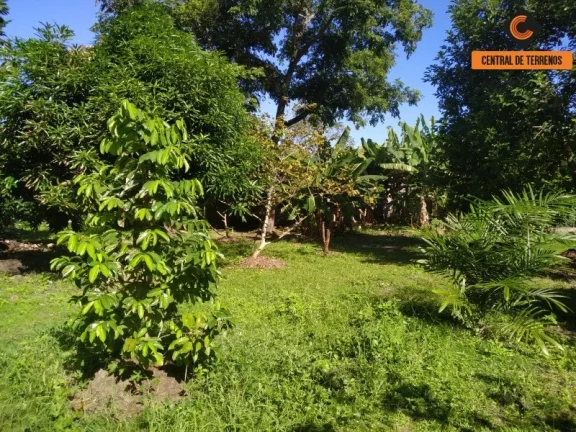 Imagem TERRENO EM CAMAÇARI