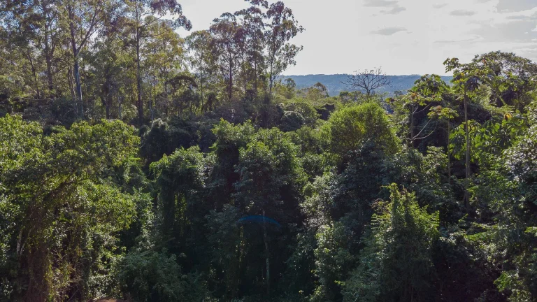 Imagem Terreno à venda - Itapevi/SP