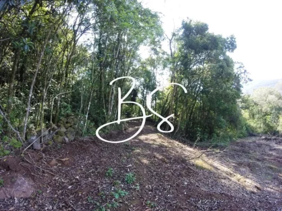 Imagem SITIO RURAL em NOVA PETRÓPOLIS - RS, Linha Pirajá Baixa