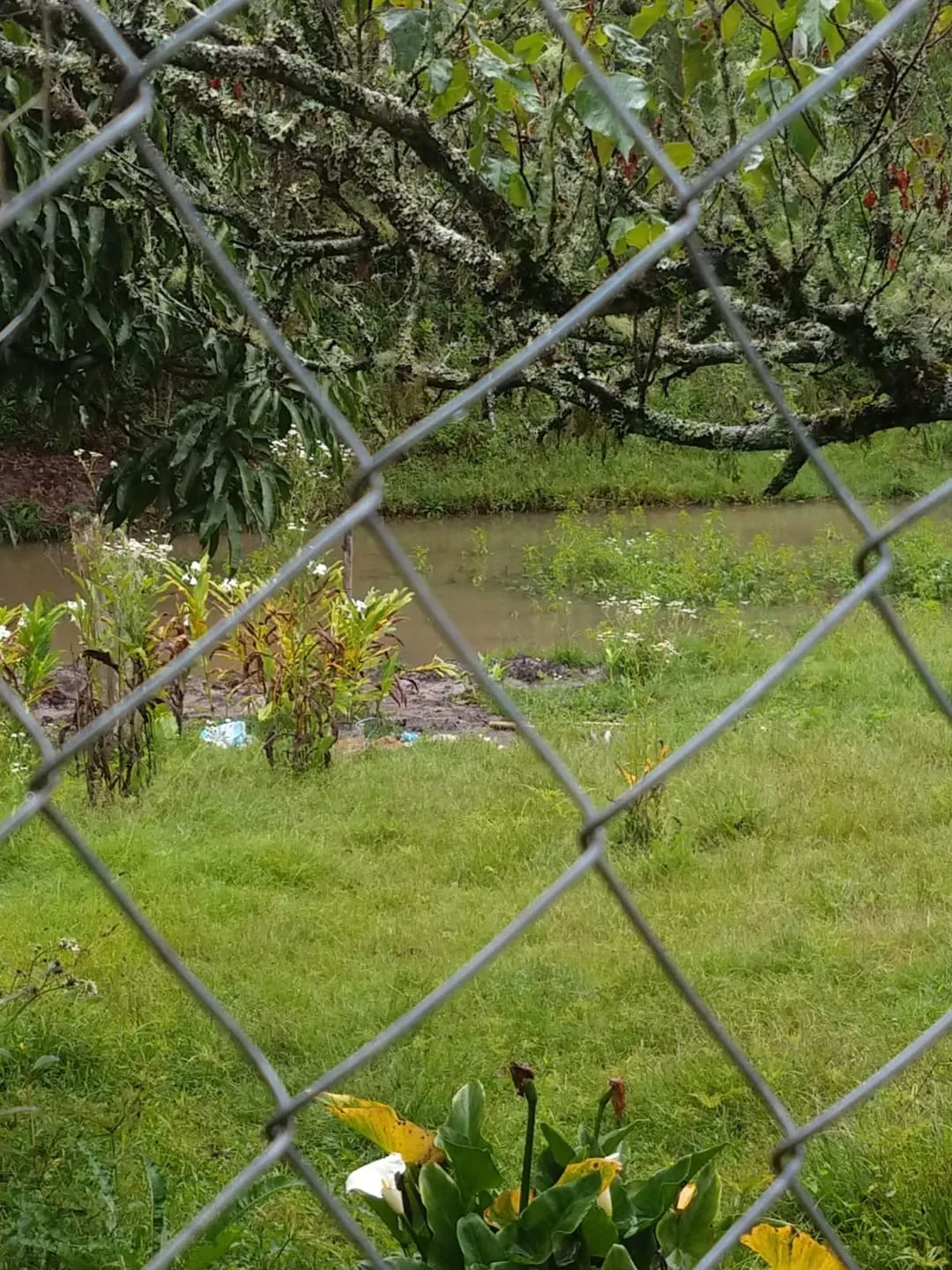 Imagem Chácara à venda 5 Quartos, 1 Suite, 10 Vagas, 24000M², Zona Rural, São Luiz do Paraitinga - SP