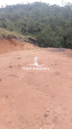 Imagem Terreno com 11.500 m², Platô Pronto, Lago e Nascente à Venda em Domingos Martins