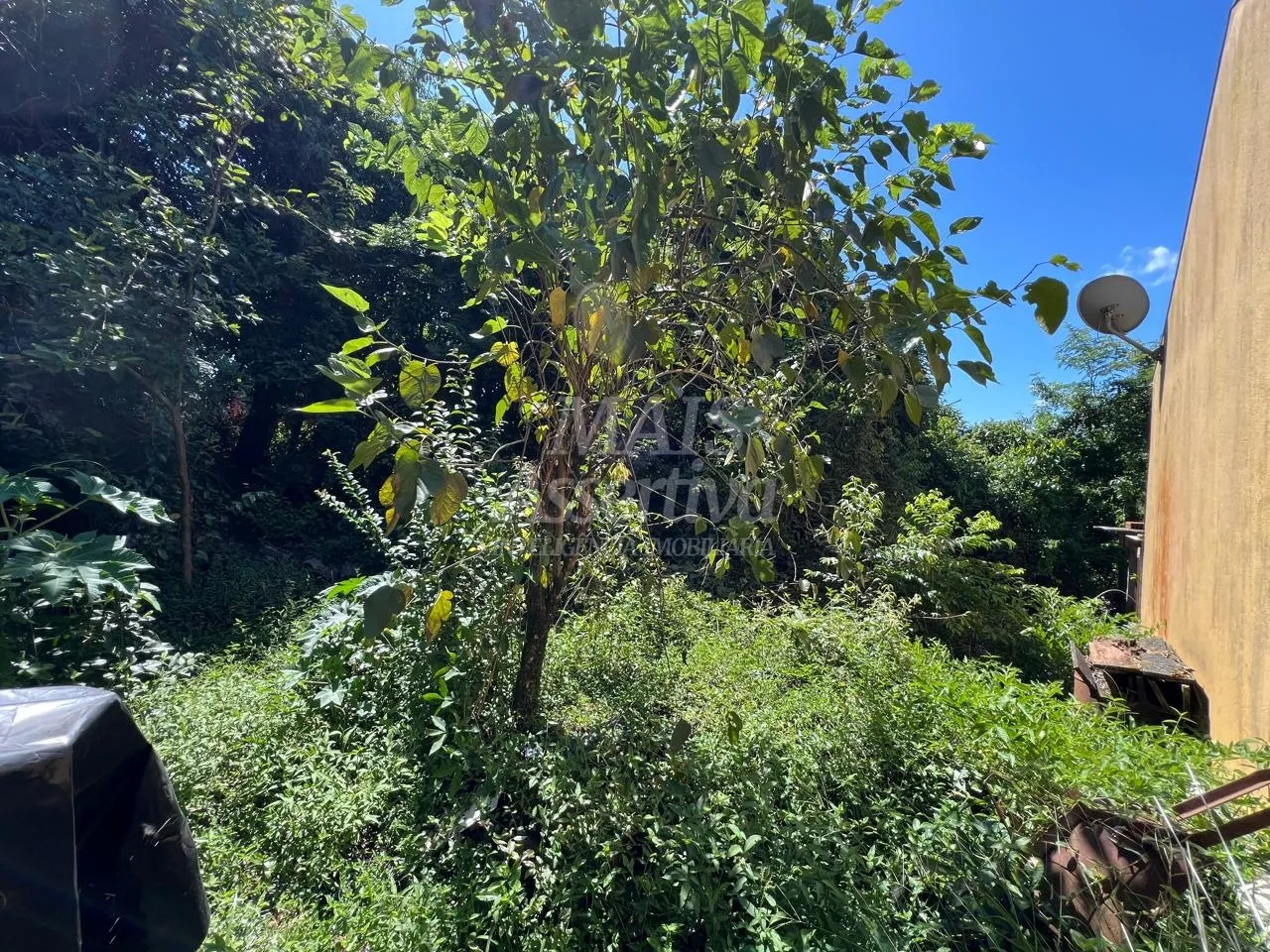 Imagem Terreno para Venda no bairro Santo Afonso em Novo Hamburgo