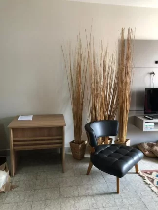 Imagem APARTAMENTO COM 72.24 m² - VILA TUPI - PRAIA GRANDE SP
