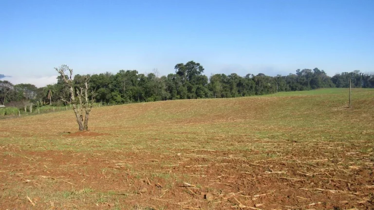 Imagem Terreno para Venda em Concórdia, Santo Antônio