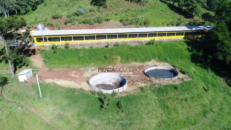 Imagem Área Agrícola para Venda em Lindóia do Sul, Rural