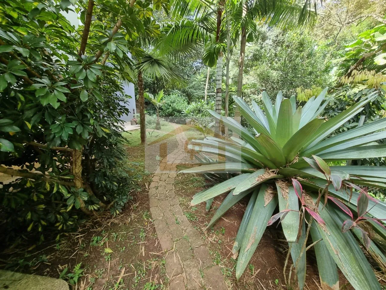 Imagem Conforto, segurança e natureza!!! Casa com 3 suítes , 4 vagas - *Granja Viana
