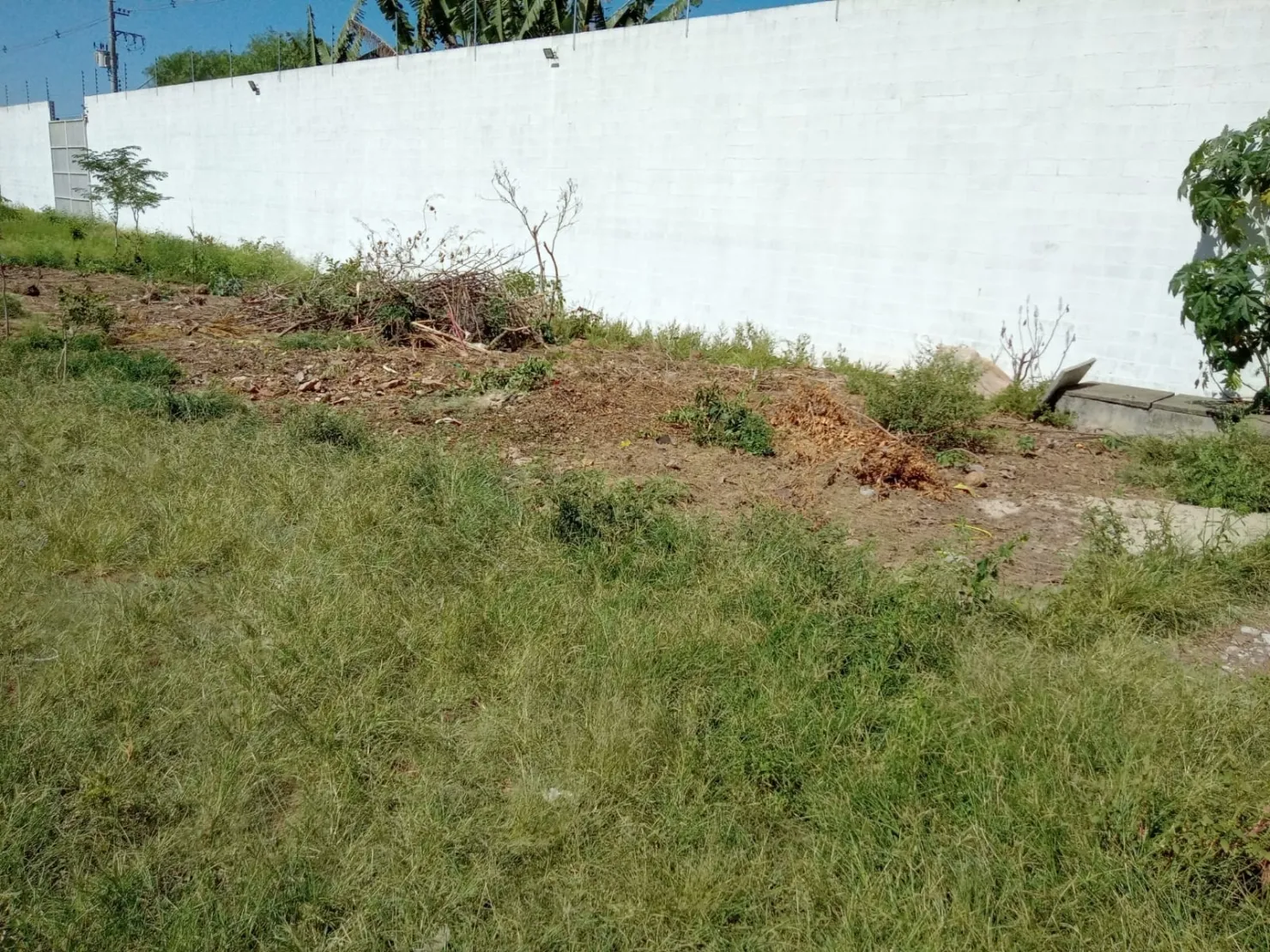 Imagem Terreno à venda 250M², Vila Suiça, Pindamonhangaba - SP