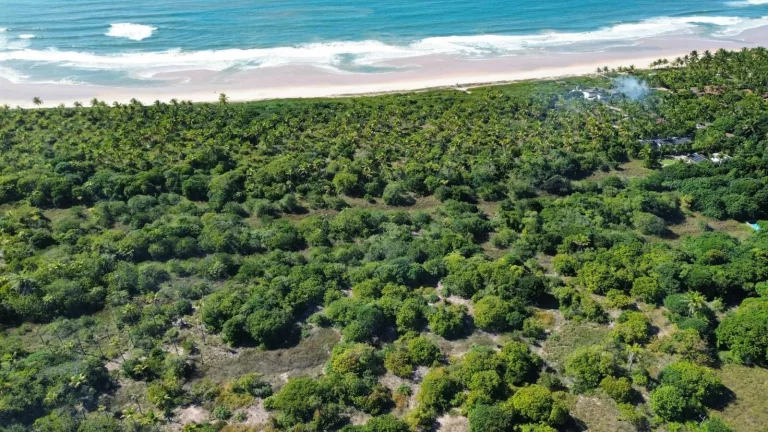 Imagem ÁREA FRENTE MAR (400m) - ALGODÕES