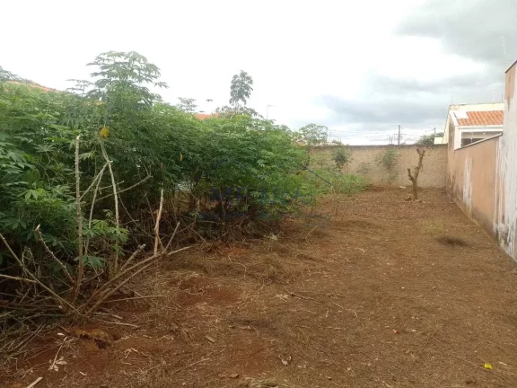 Imagem Terreno Padrão