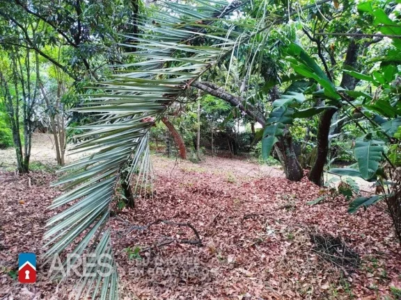 Imagem Chácara com 1 dormitório à venda, 6129 m² por R$ 600.000,00 - Monte Verde - Limeira/SP
