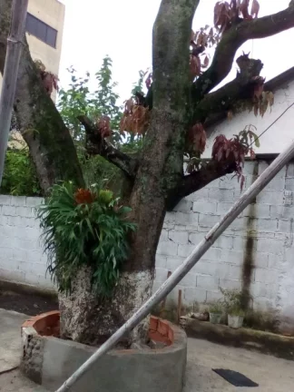 Imagem Terreno à venda, 500 m² por R$ 860.000,00 - Centro - Poá/SP