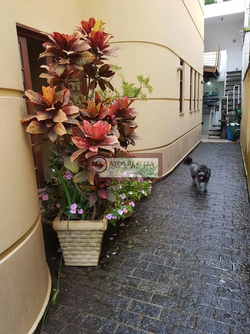 Imagem Sobrado Portal Morumbi - São Paulo