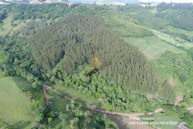Imagem Terreno para Venda em Concórdia, Planalto