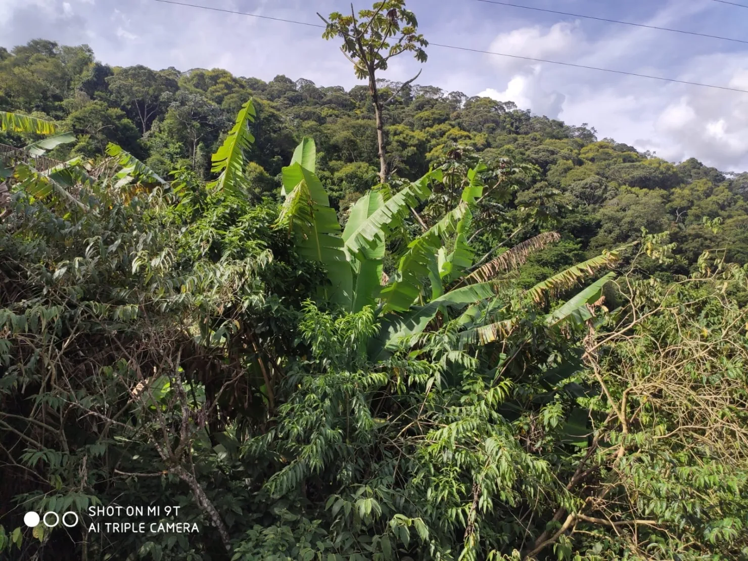 Imagem Chácara à venda 36245.2M², Vila dos Marins, Piquete - SP