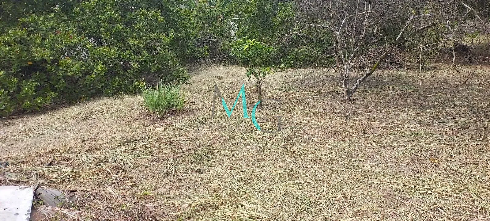 Imagem Terreno 2000m² à venda no bairro Jardim Letícia, em Campo Grande, Rio de Janeiro, RJ