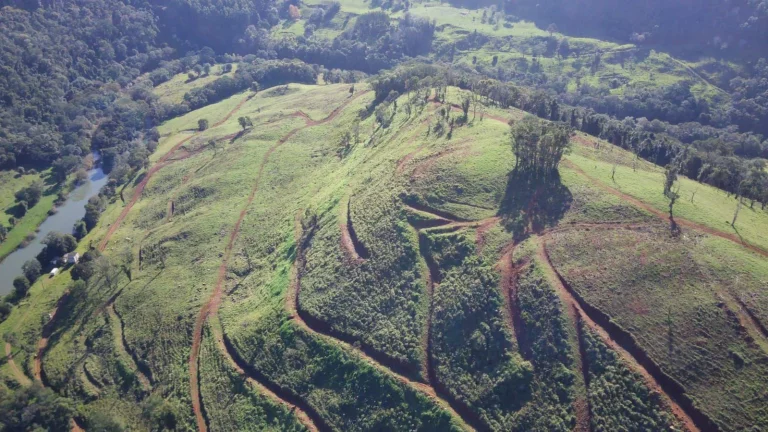 Imagem Fazenda para Venda em Concórdia, Interior