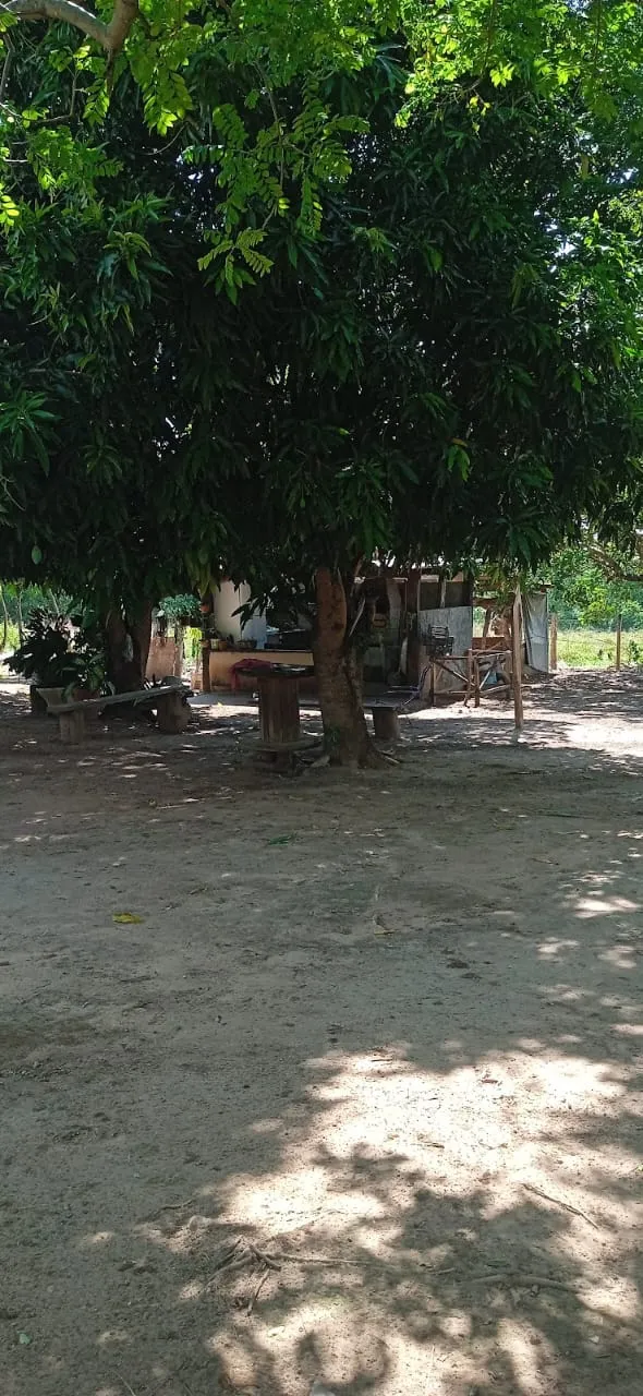 Imagem Sítio com 3 quartos, 10 mil m² em Cuiabá, Mato Grosso