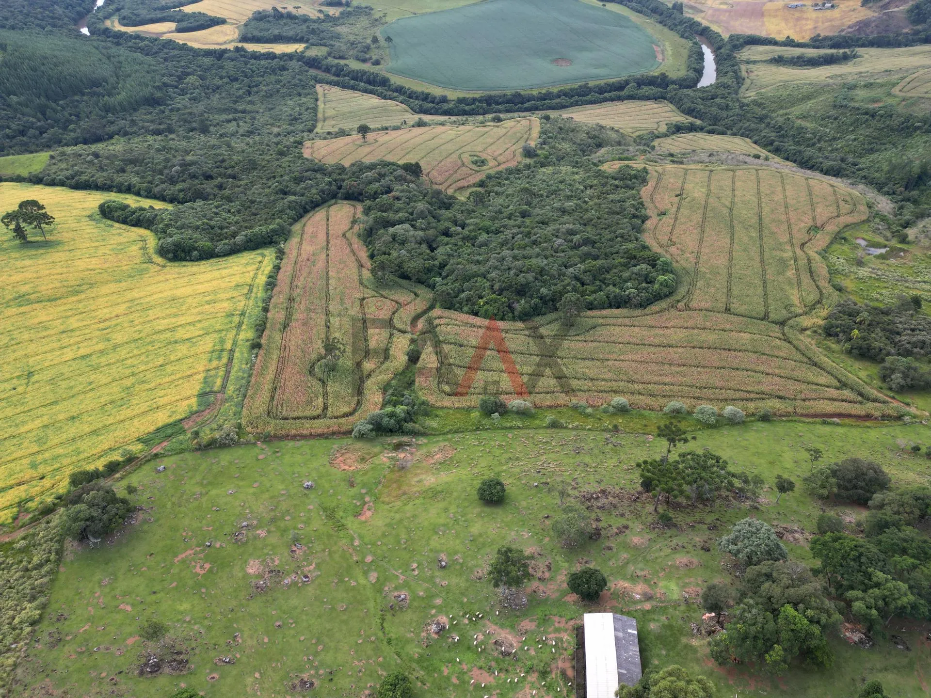Imagem Chácara com 1.210.000,00m as margens da BR-277 em GUARAPUAVA - PR