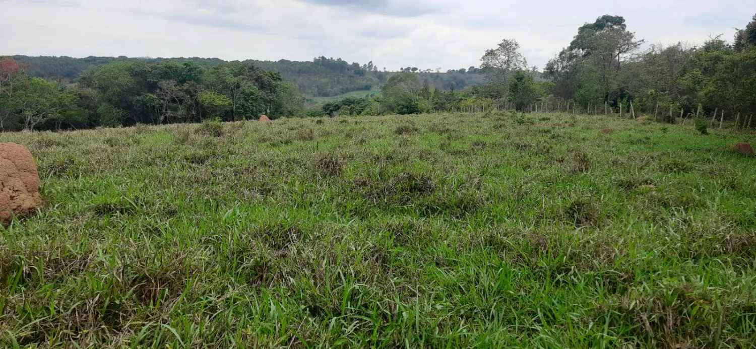 Imagem Terreno à Venda em Carmópolis de Minas 13,5 hectares, todo formado