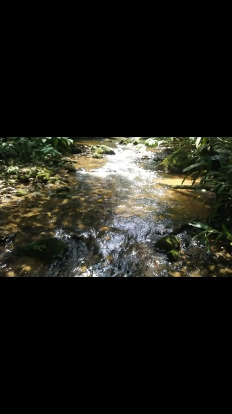 Imagem Chácara à venda 2 Quartos, 4 Vagas, 20000M², Ribeirão Grande, Pindamonhangaba - SP