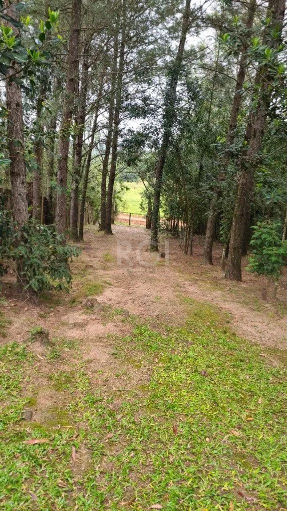 Imagem Sítio para Venda - 480m², 0 dormitórios, Fiuza