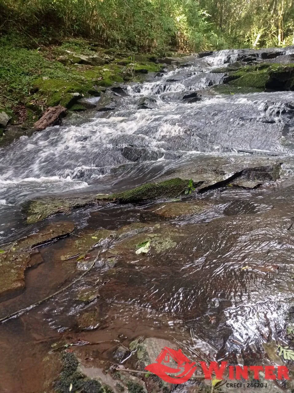 Imagem Área de terras com 56.494,00m², Presidente Lucena, RS.