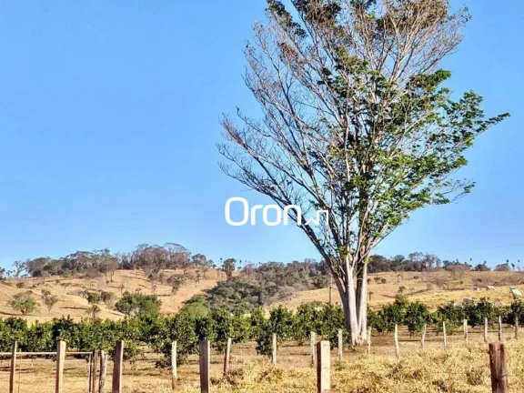 Imagem Fazenda com 5 dormitórios à venda, 3500000 m² por R$ 65.000.000,00 - Goiânia - Goiânia/GO