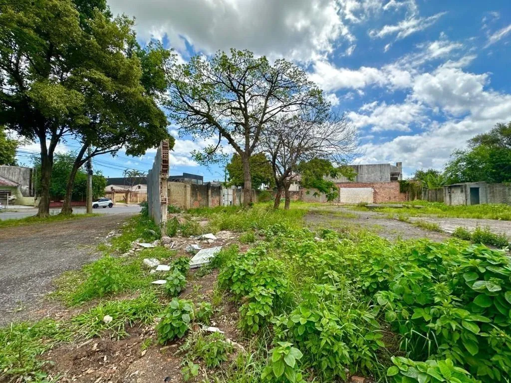 Imagem Terreno em Harmonia