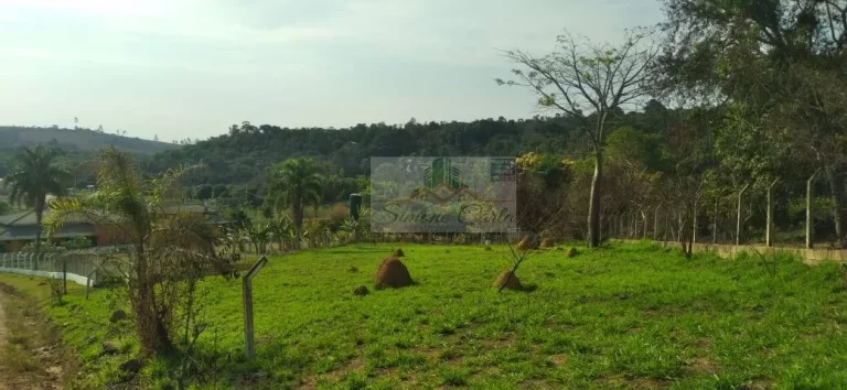 Imagem TERRENO JARDIM CANANÉIA