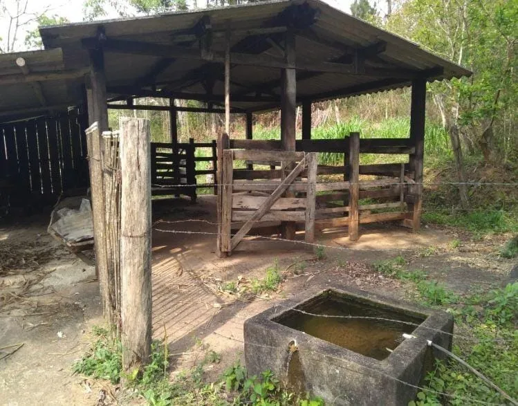 Imagem Chácara à venda, Cedro, Cunha, SP