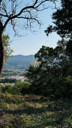 Imagem Chácara - Sítio com 1 Dormitorio(s) localizado(a) no bairro Zona Rural em Nova Hartz / RIO GRANDE DO SUL Ref.:1583