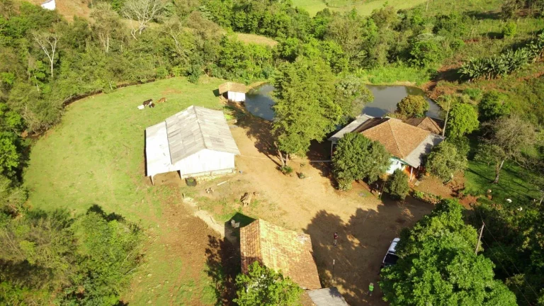 Imagem Granja para Venda em Arabuta, Rural