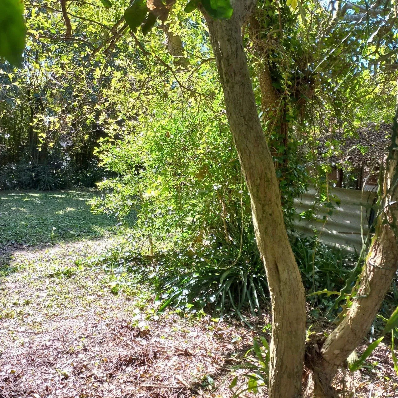 Imagem Terreno para Venda - 0m², 0 dormitórios, Belém Novo, Porto Alegre