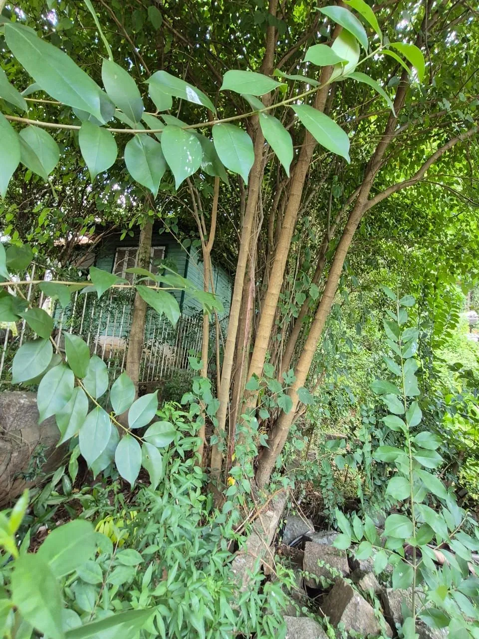 Imagem EXCELENTE OPORTUNIDADE DE TERRENO - LOCALIZAÇÃO ESTRATÉGICA!