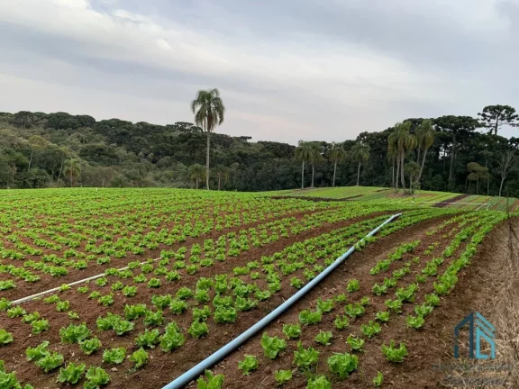 Imagem Terreno LIMPO plano 21.000 mil m², a venda no Umbará em Curitiba - PR