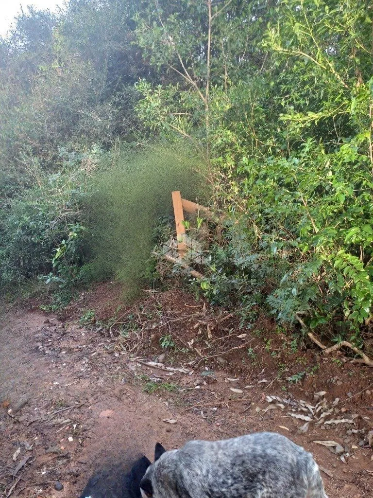 Imagem Terreno no bairro Aberta dos Morros em Porto Alegre