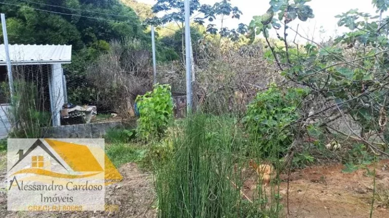 Imagem Vendo chácara com 140 mil mts² em Riograndina